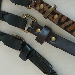 Rampage Set of Two Black and Brown Belts